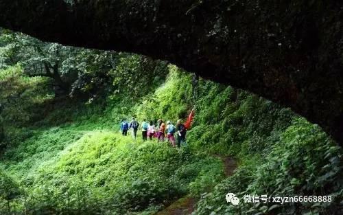 妙鸭相机app下载官网